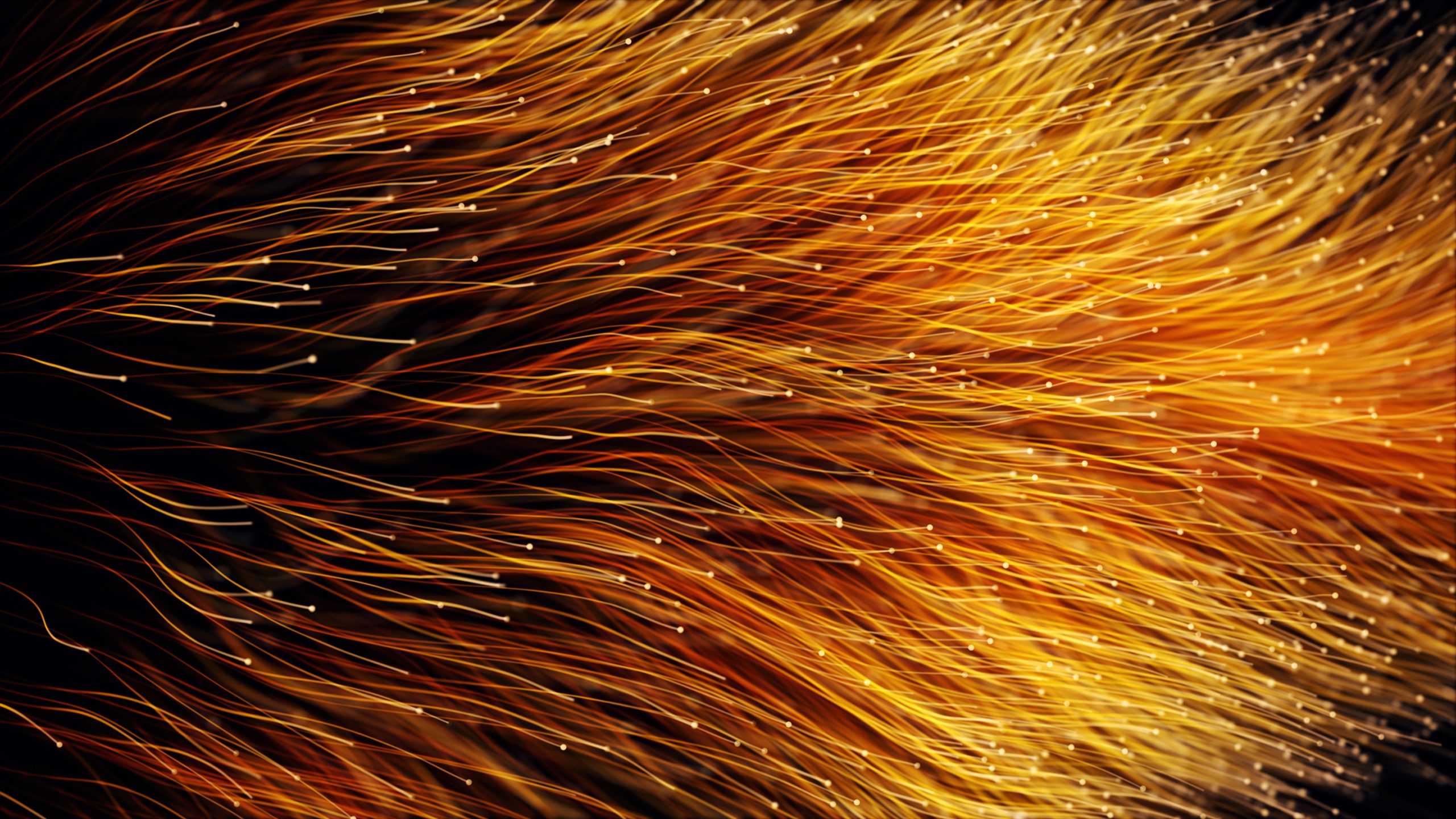 Macpherson Kelley Completes First 3E On-prem to Cloud Migration in Asia-Pacific